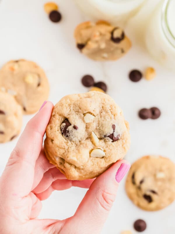 A hand holding a chocolate chip macadamia cookie.
