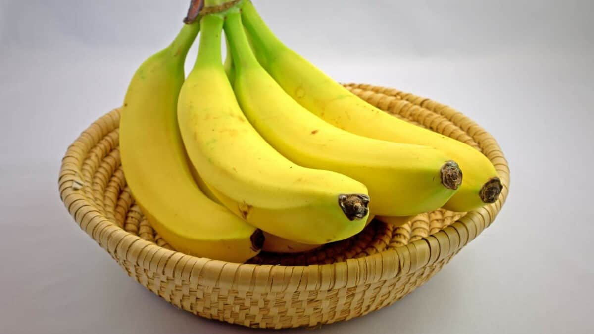 Bananas in a basket on a white background.