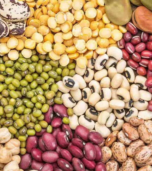 A variety of beans and legumes are arranged in a pile.