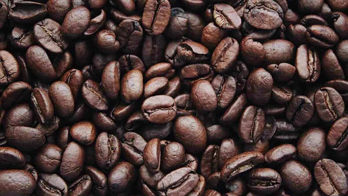 A close up of a pile of coffee beans.