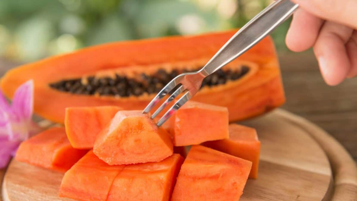 A person cutting a papaya with a fork.