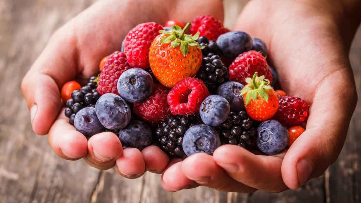 A person's hands holding a bunch of berries.