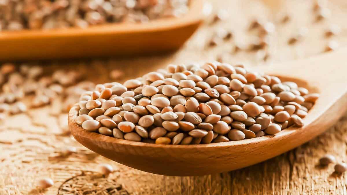 Linseed seeds in a wooden spoon on a wooden table.