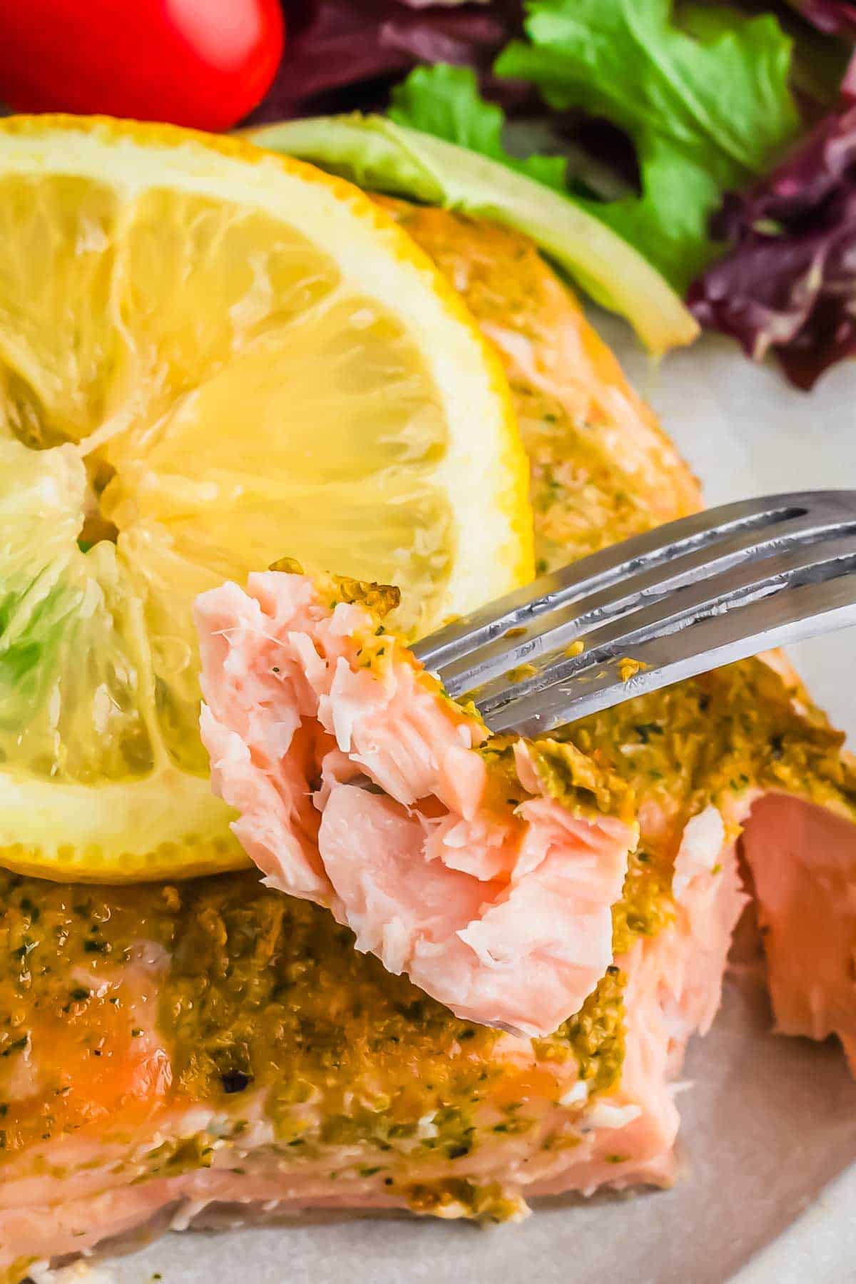 A fork with a piece of cooked salmon.