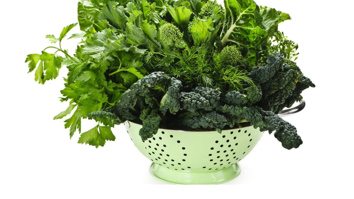 A variety of fresh green leafy vegetables in a colander.