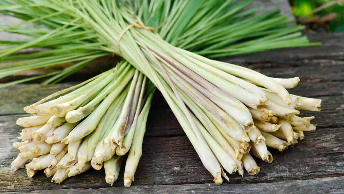A bunch of lemongrass on a wooden table.