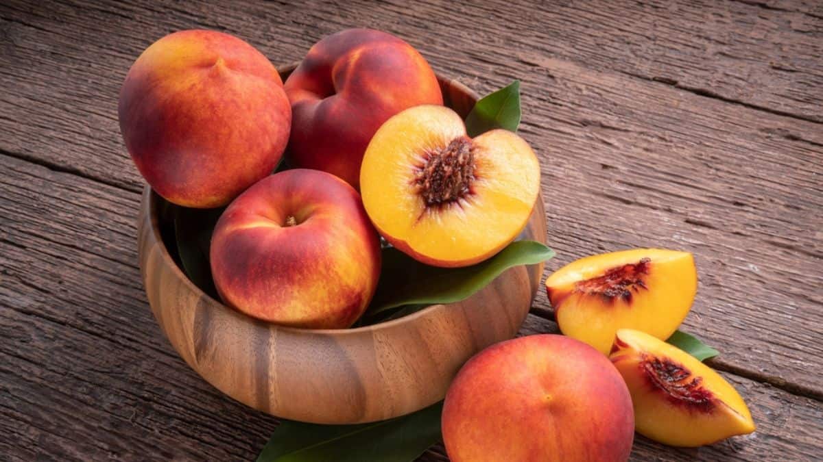 Fresh nectarines in a wooden bowl on a rustic table.