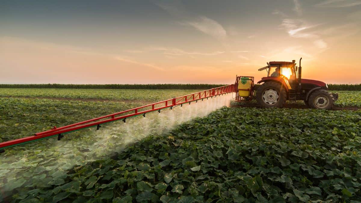 A tractor spraying crops in a field at sunset.