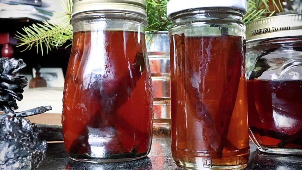 Two jars of amber-colored liquid, possibly homemade syrup or honey, on a kitchen counter.