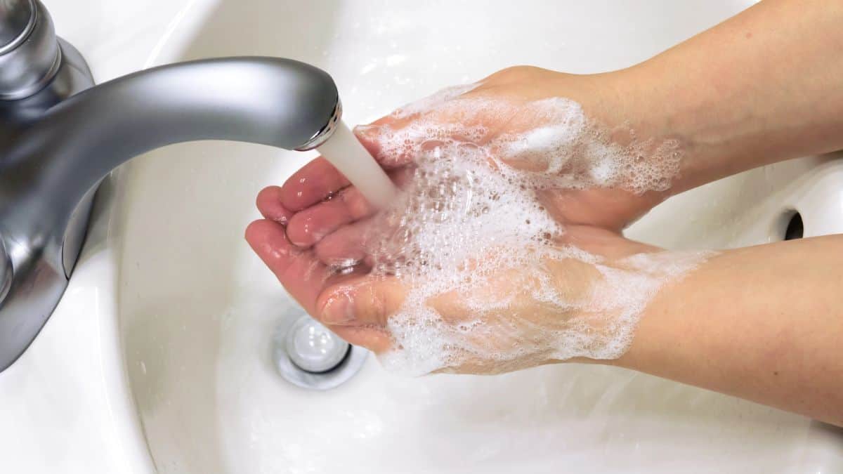 A person washing their hands with soap in a sink.