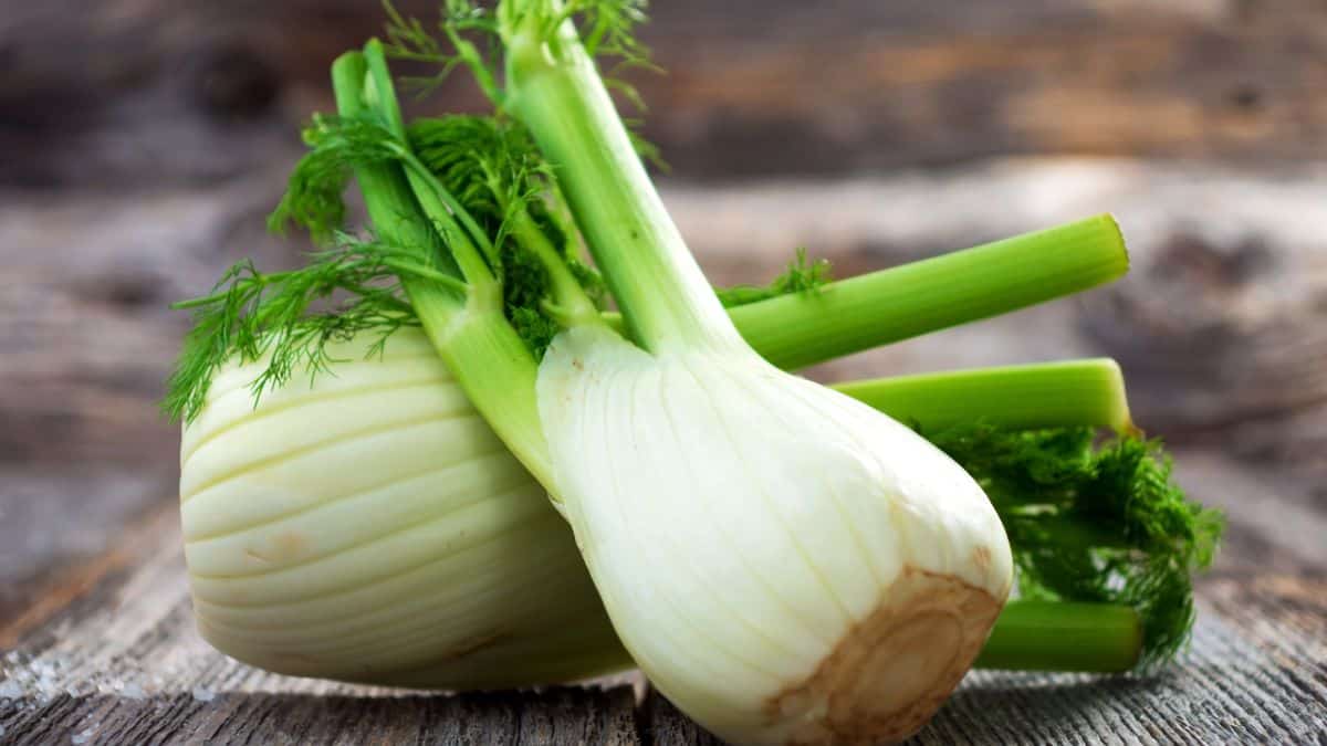 Fresh fennel bulb with green stalks on a wooden surface.