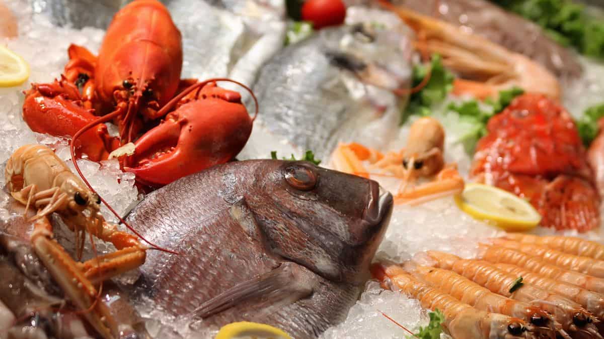 An assortment of fresh seafood on ice, including lobster, prawns, crayfish, and a whole fish.