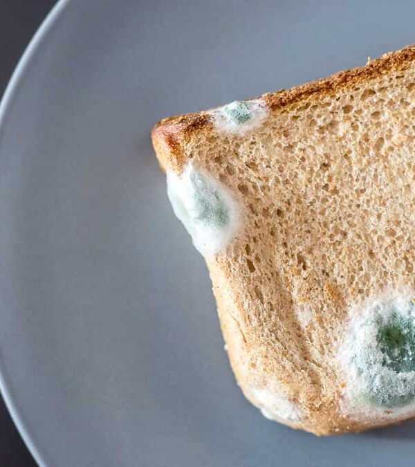 A slice of bread with a blue blotch on it.