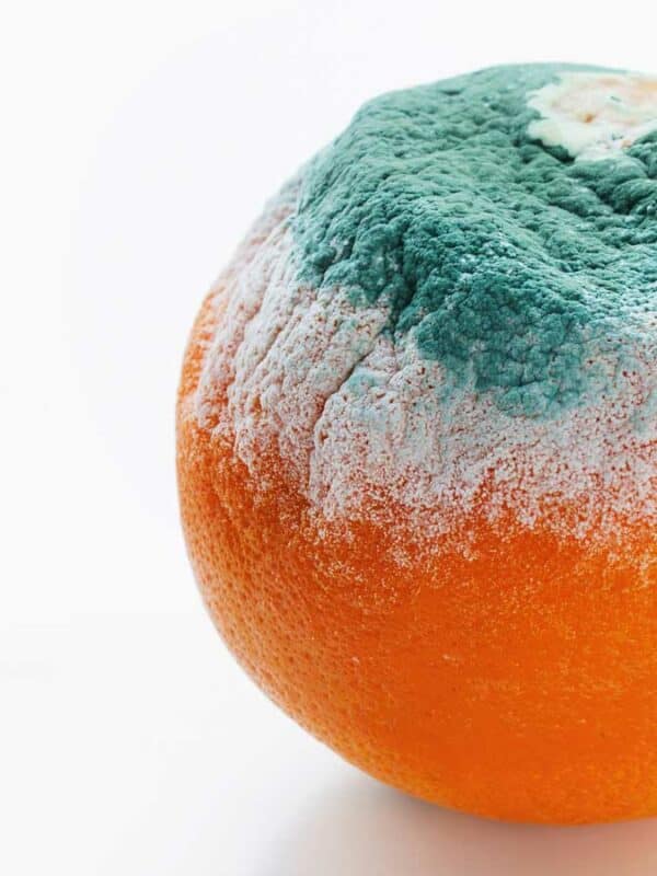 An orange with blue and green paint on it.