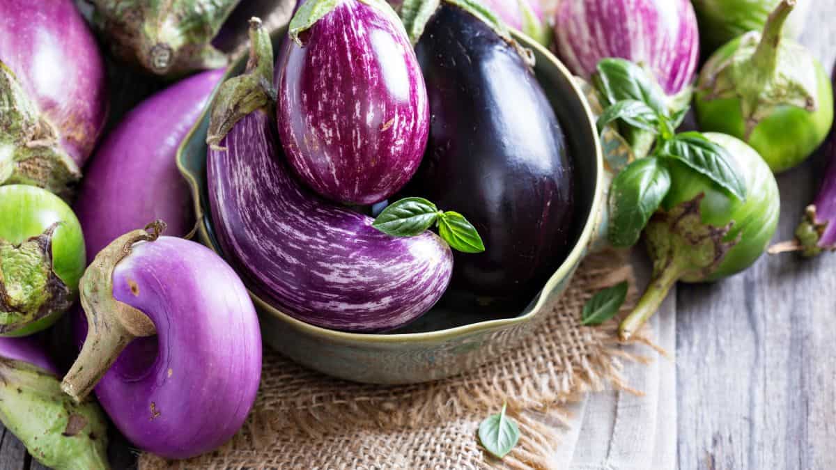 A variety of eggplants, including purple striped and large glossy ones, in a green bowl with fresh basil leaves on a wooden surface.