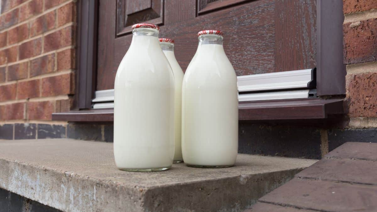 Two glass bottles of milk on a doorstep next to a house door, situated on a concrete step with a brick wall in the background.