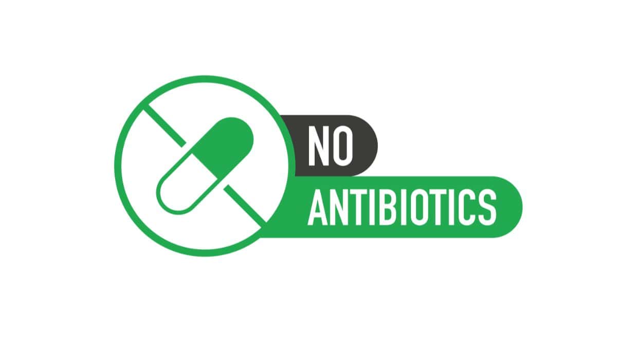 Antibiotic-free product label with a capsule and prohibition sign.