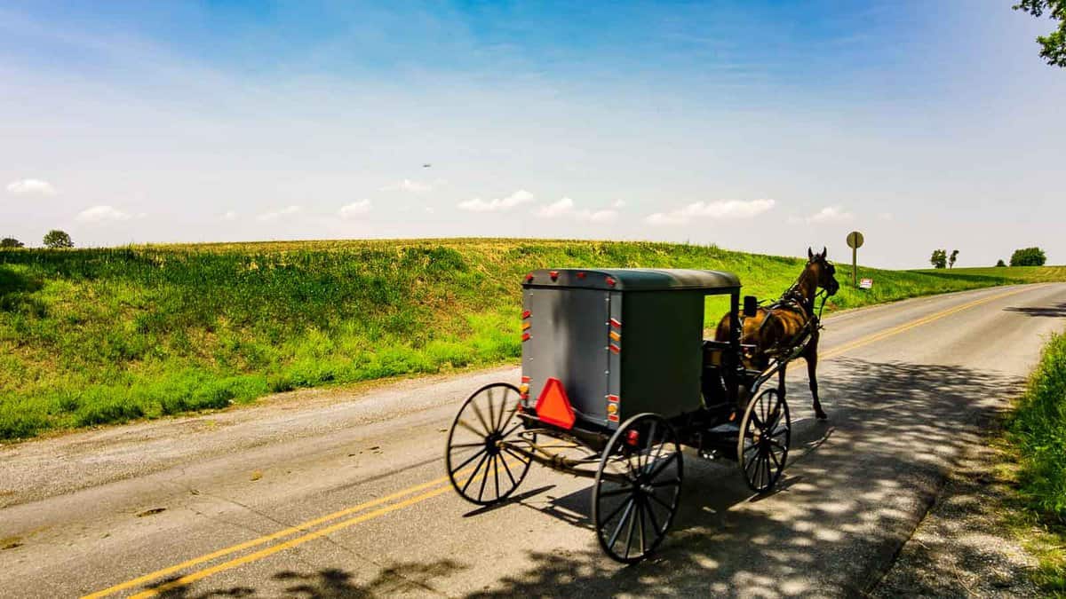 A horse-drawn carriage travels on a paved road beside green fields under a clear blue sky.