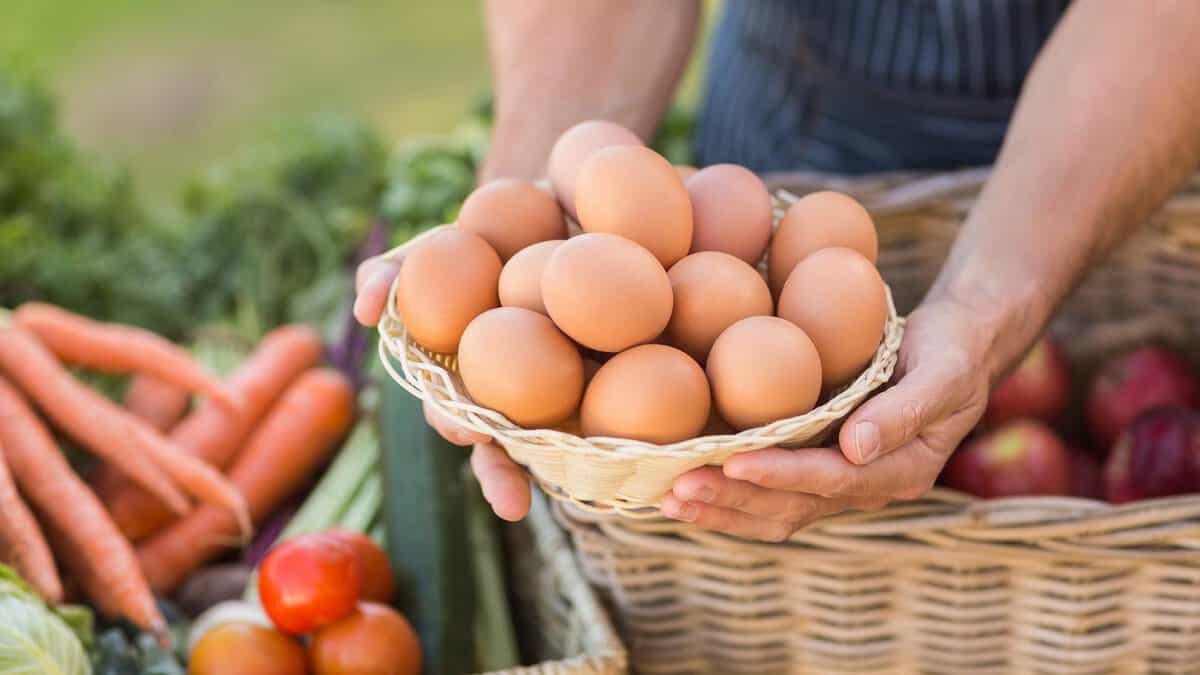 A person holding a basket full of fresh eggs with assorted vegetables in the background.