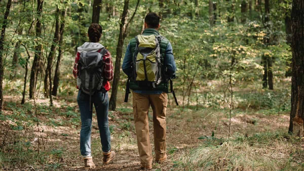 Two hikers with backpacks walking on a forest trail, surrounded by lush green trees.