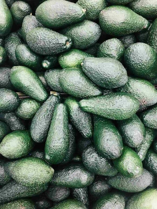 A pile of fresh avocados with varying shapes and sizes.