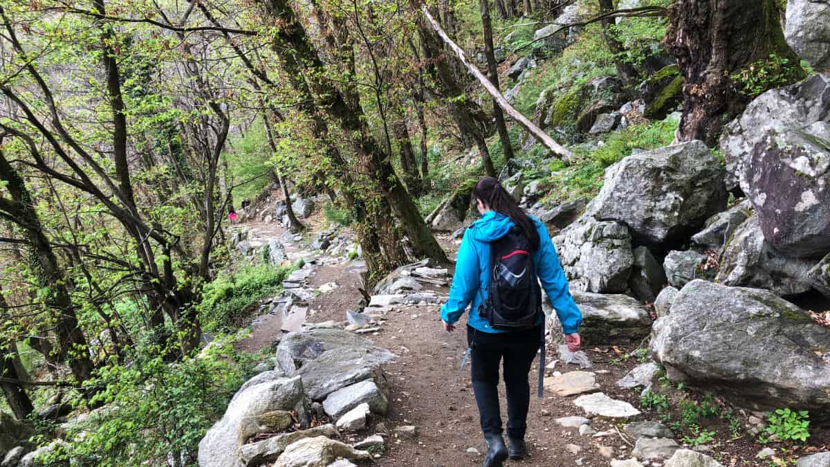 Woman hiking on a rocky forest trail, wearing a blue backpack and a blue jacket, with lush green trees around.