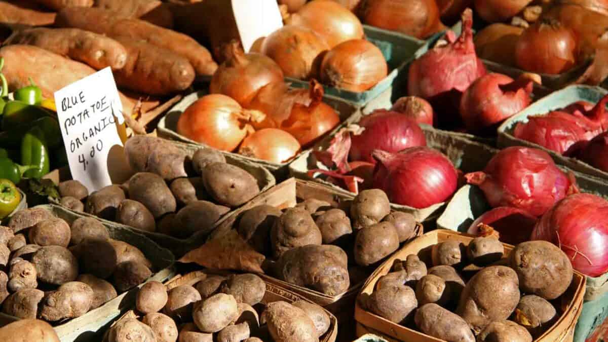 Various fresh vegetables displayed at a market, including onions and potatoes, with a price sign visible.