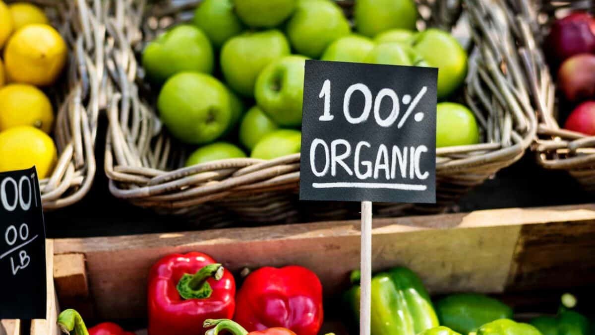 A display of fresh organic vegetables, including red peppers and green apples, marked by a sign reading "100% organic" at a market stall.