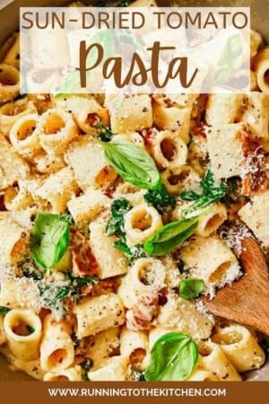 A bowl of sun-dried tomato pasta garnished with basil and parmesan cheese.