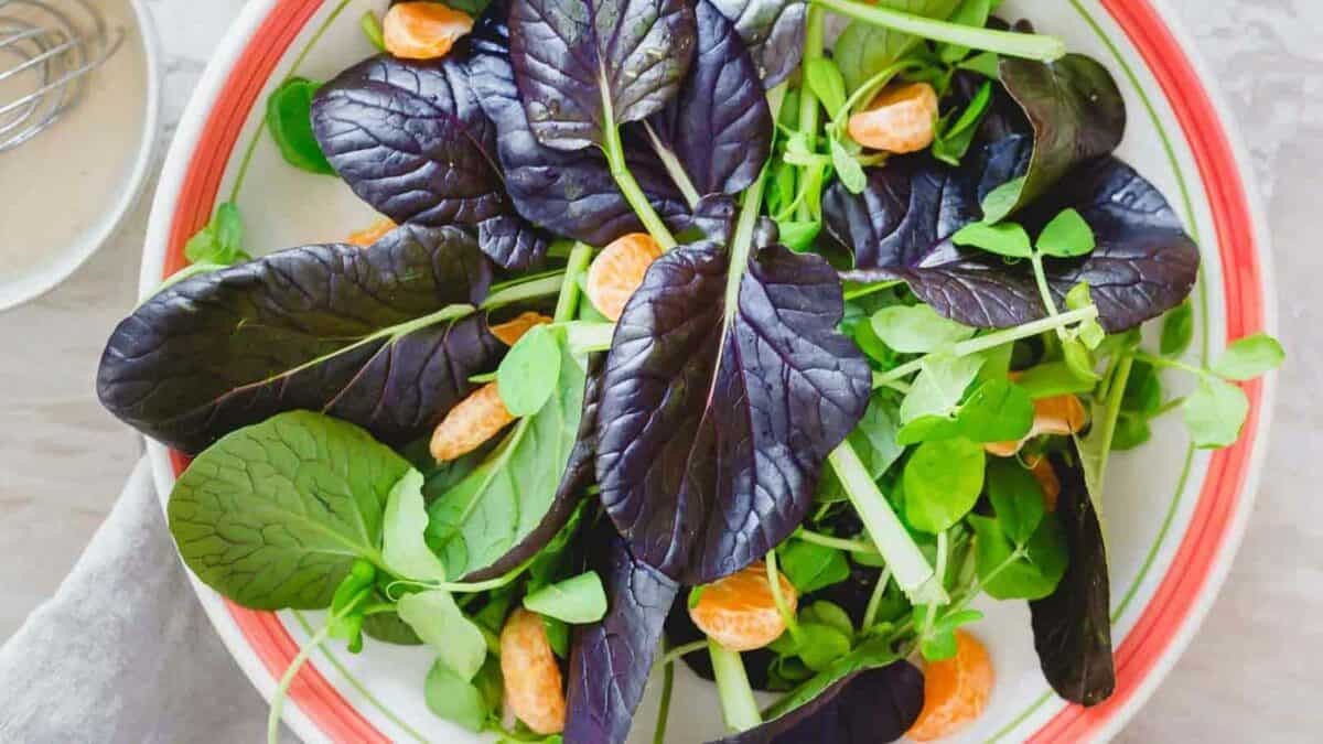 A bowl of fresh salad containing dark purple spinach leaves, green sprouts, and sliced orange carrots on a striped plate.