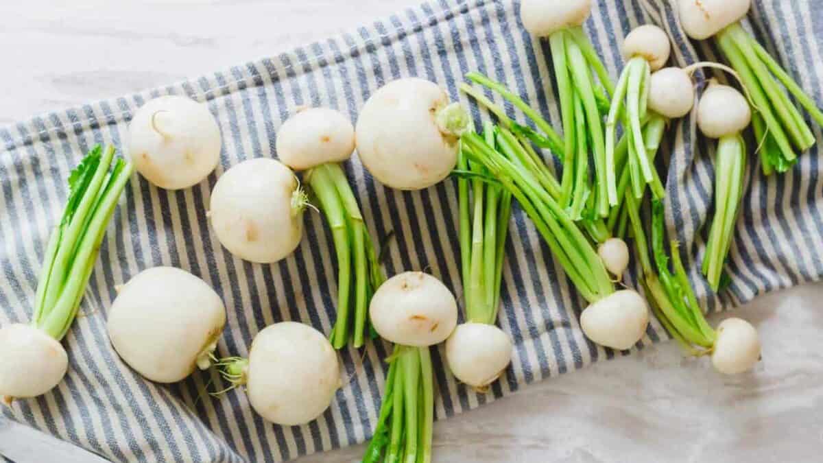 Fresh white turnips with green tops laid out on a striped kitchen towel on a marble surface.