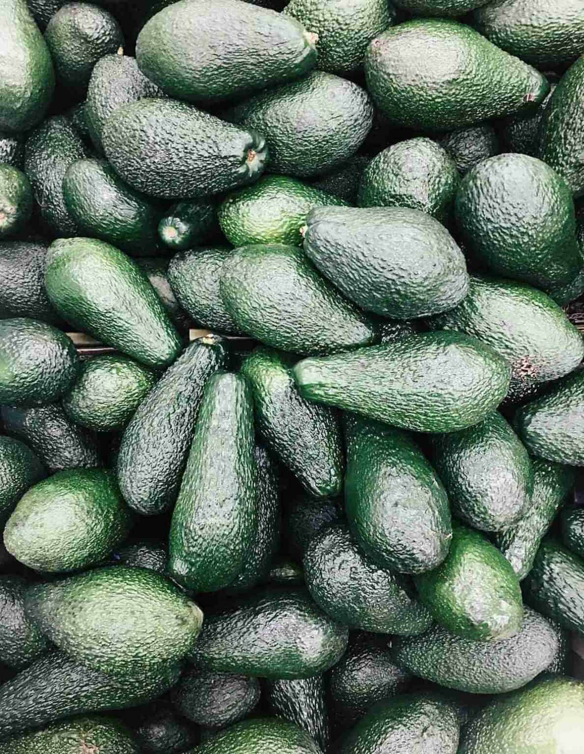 Discovering the Diverse Types of Avocados - Running to the Kitchen®