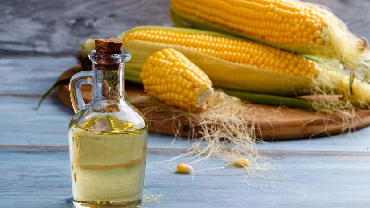 A glass bottle of corn oil with a cork stopper is in the foreground, and several ears of fresh corn, some partially husked, are on a wooden cutting board in the background.