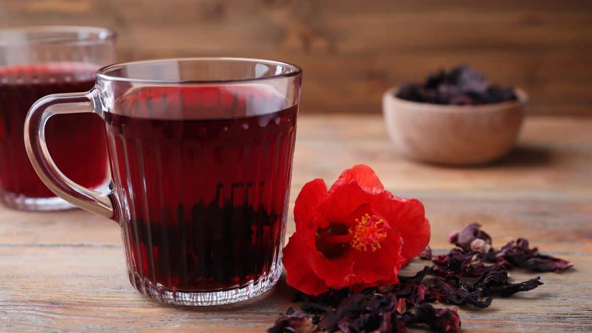 Hibiscus tea served in glass cup