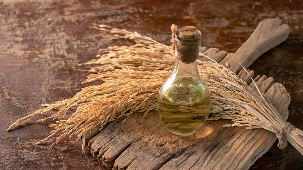 A small glass bottle filled with oil is placed on a rustic wooden surface next to a bunch of dried wheat stalks.