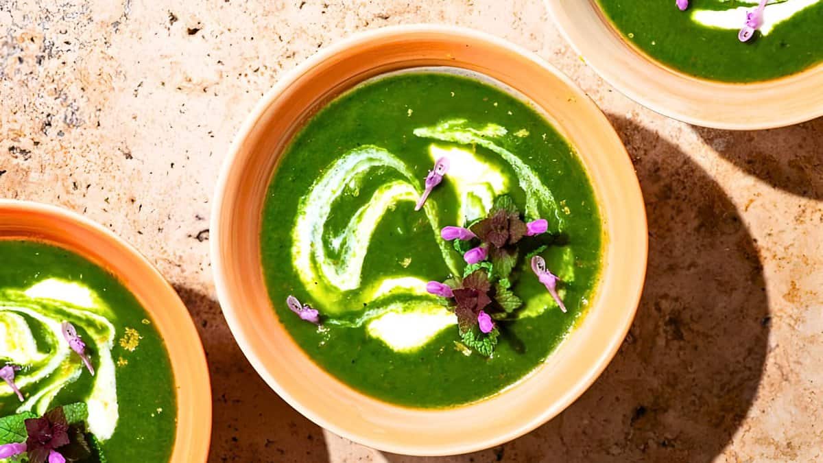 Three bowls of vibrant green spinach soup garnished with a swirl of cream and purple flowers, arranged on a sunny table.