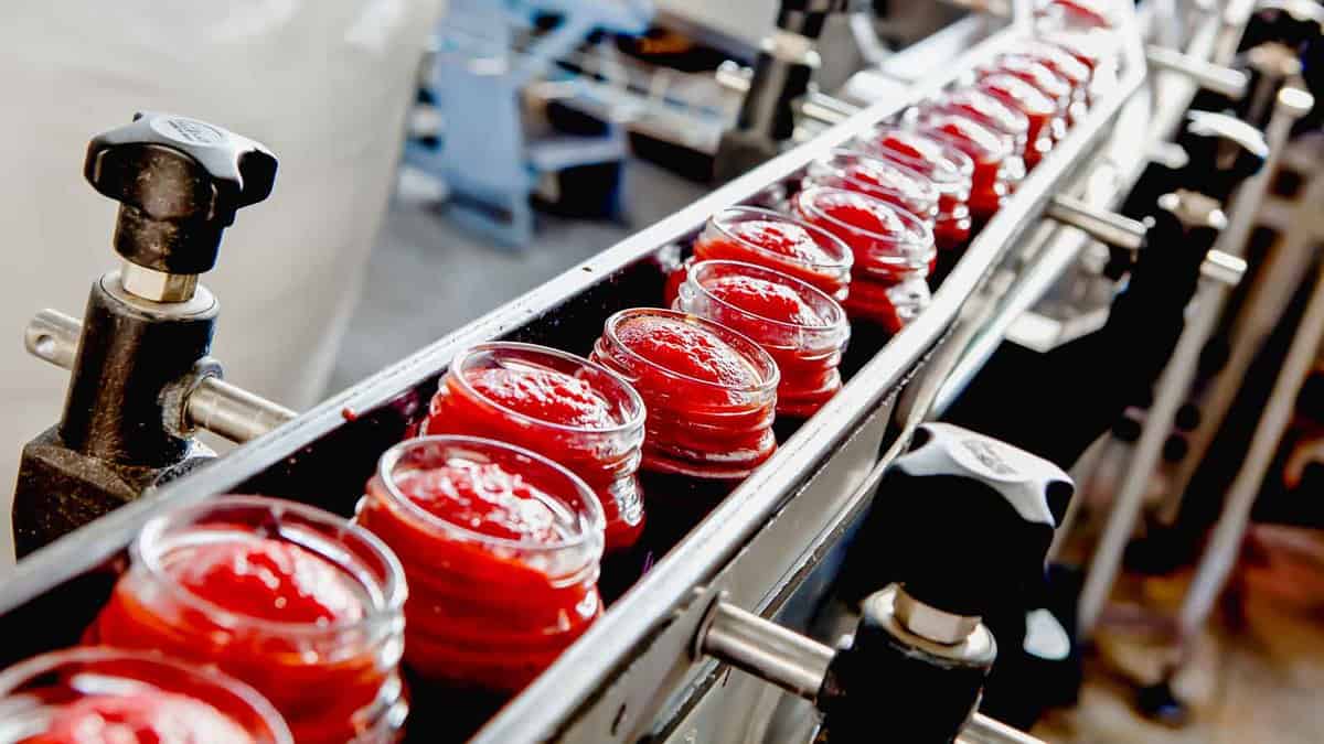 Jars of red sauce on a conveyor belt in a food processing plant.