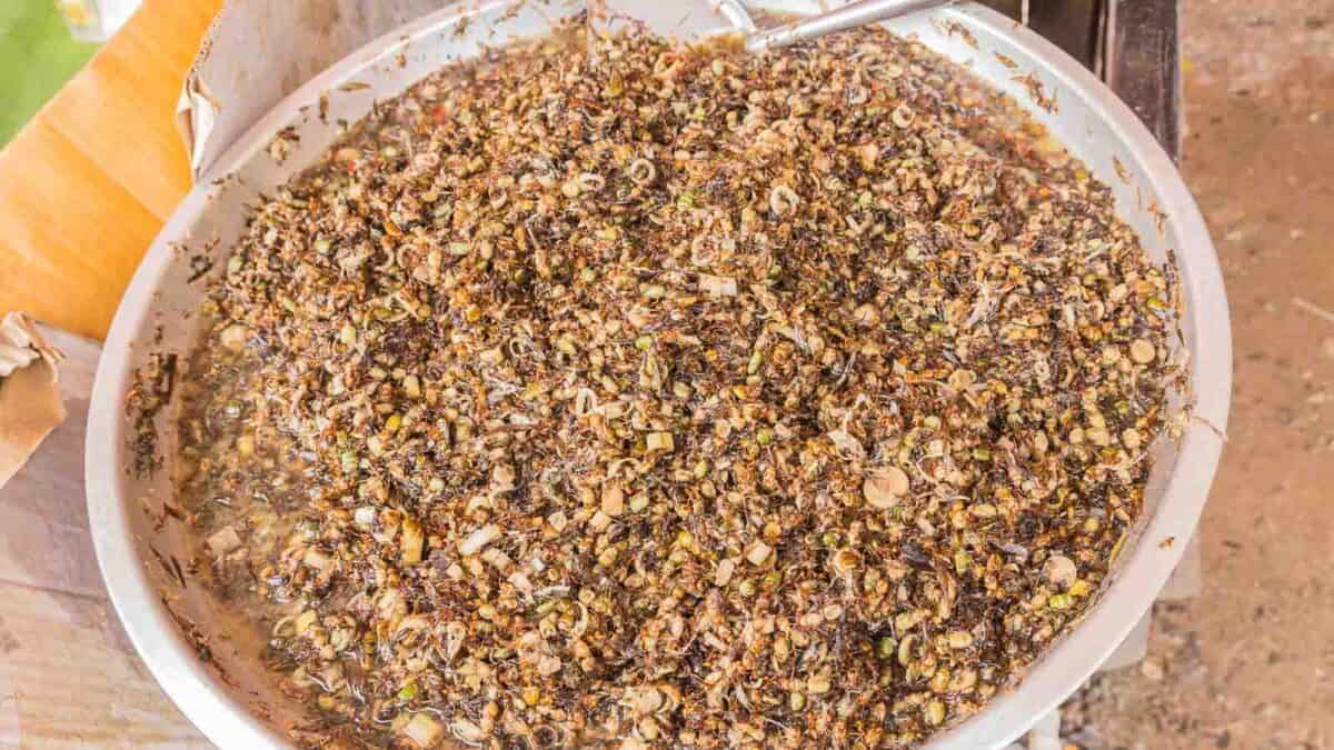 Fried ants in a large pan.
