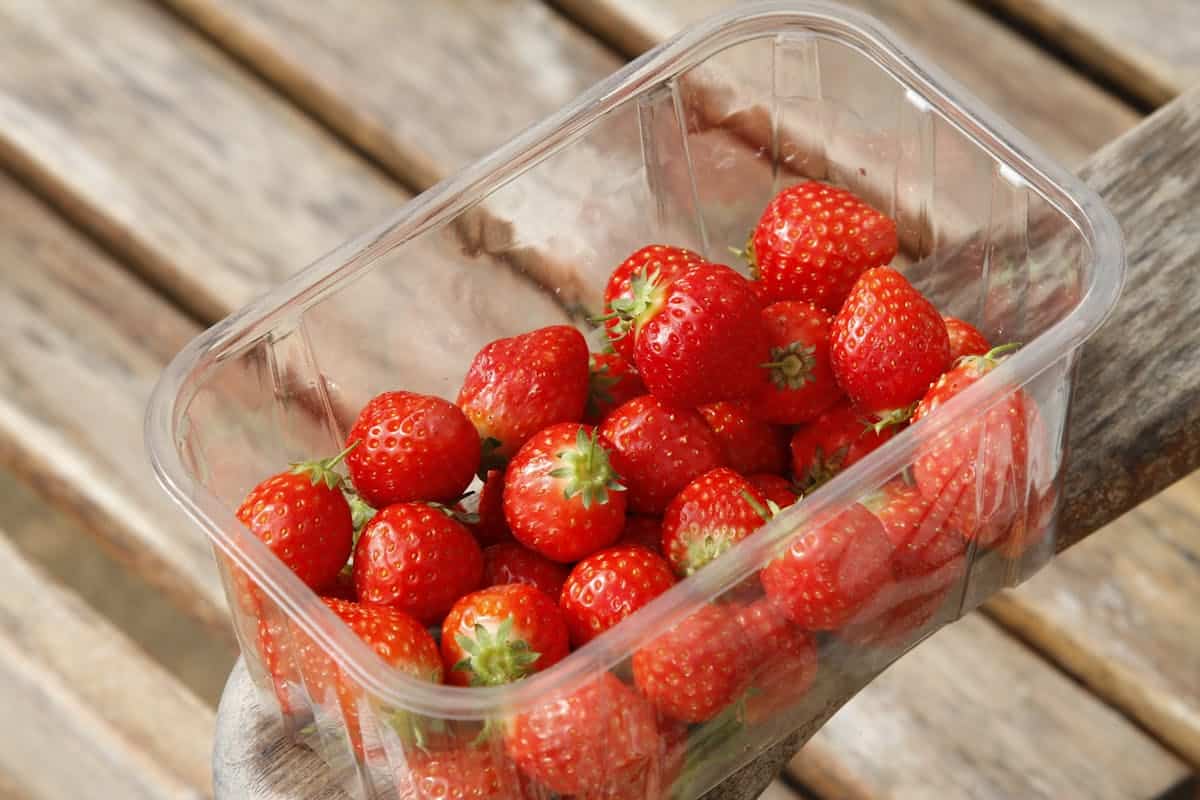 Fresh strawberries in a plastic container.