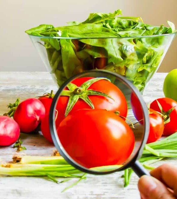 A person holds a magnifying glass over tomatoes on a table with radishes, green onions, apples, and a glass bowl of leafy greens.
