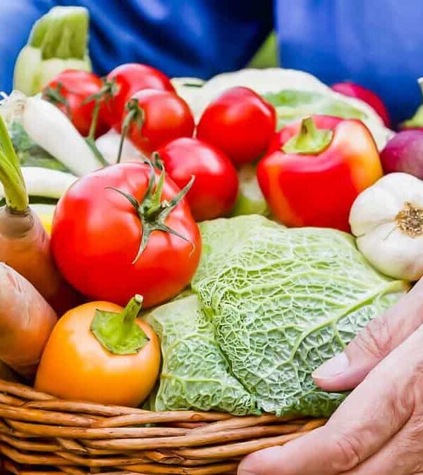 Basket of organic vegetables.