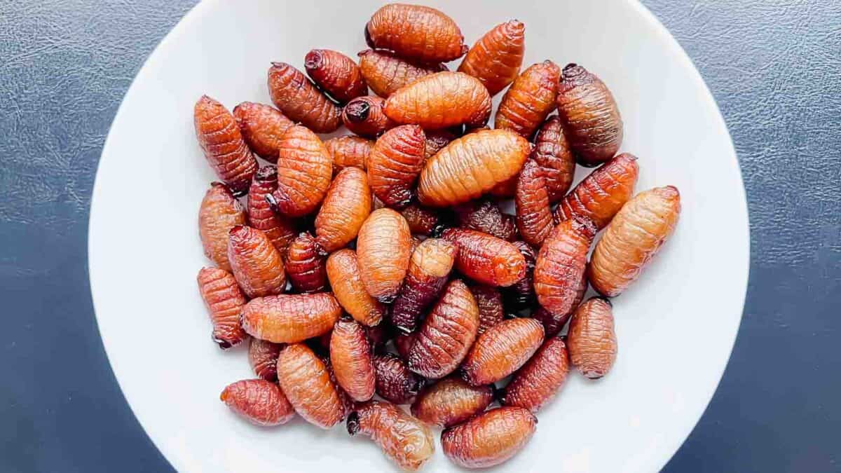 Sago worms on a white plate.