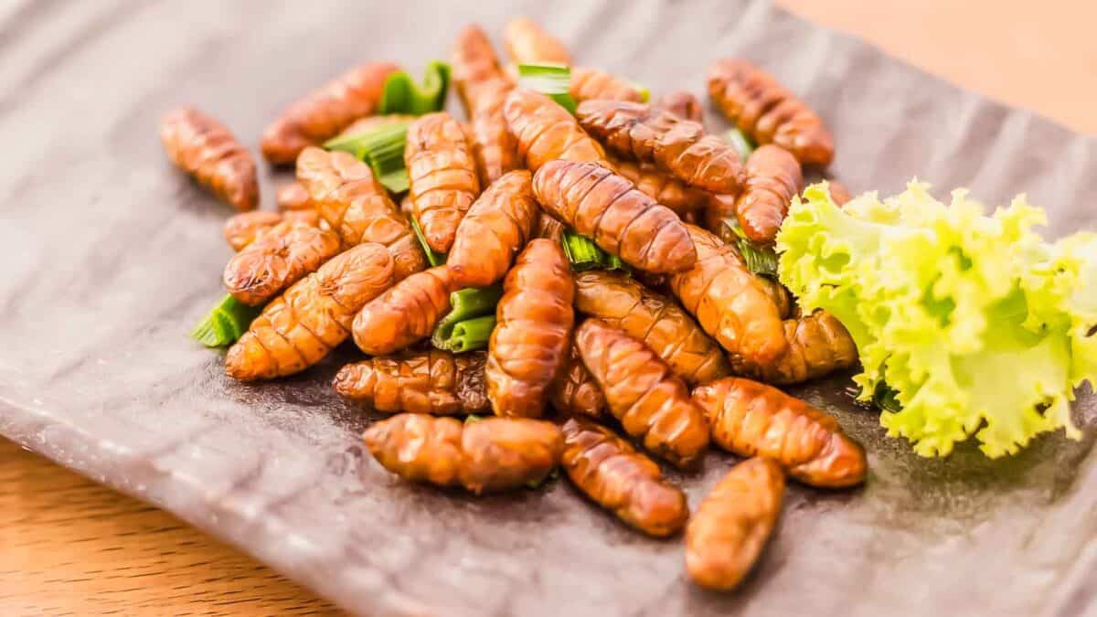 Silk worms on a plate garnished with lettuce.