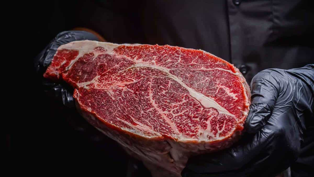 A person wearing black gloves holds a raw marbled steak against a dark background.