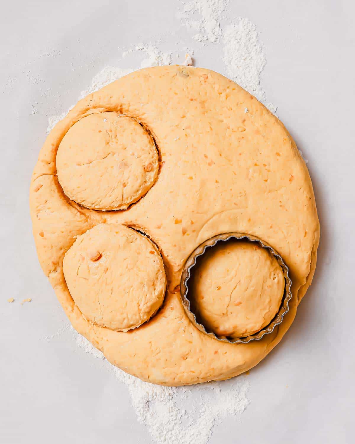 Dough laid out on a floured surface with biscuits being cut out using a circular cutter.