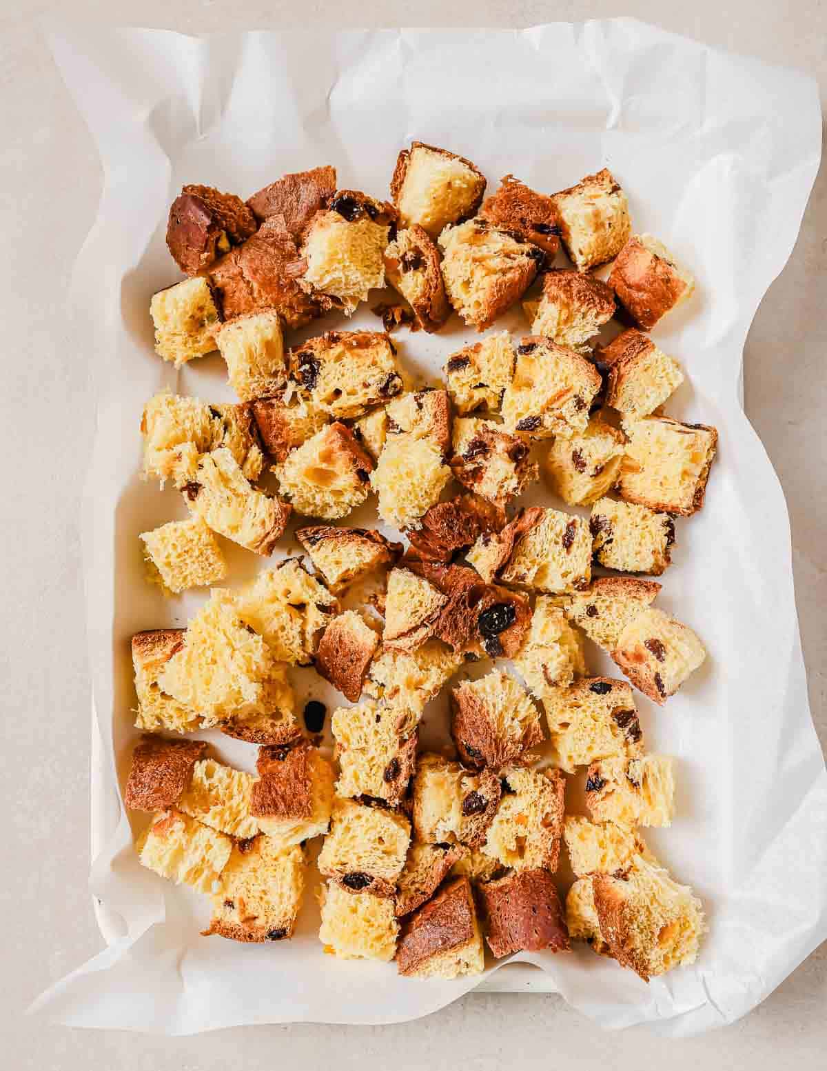 Cubes of panettone bread with raisins are spread out on a parchment-lined baking sheet. The bread is golden brown with an even distribution of raisins, ready for use in a recipe.