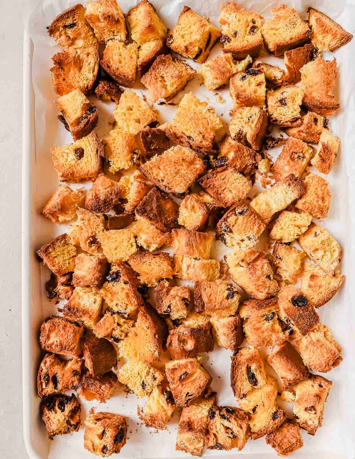 A baking tray filled with evenly spread toasted golden-brown panettone cubes topped with raisins, resting on parchment paper. The bread appears crispy and is likely prepared for croutons or stuffing.