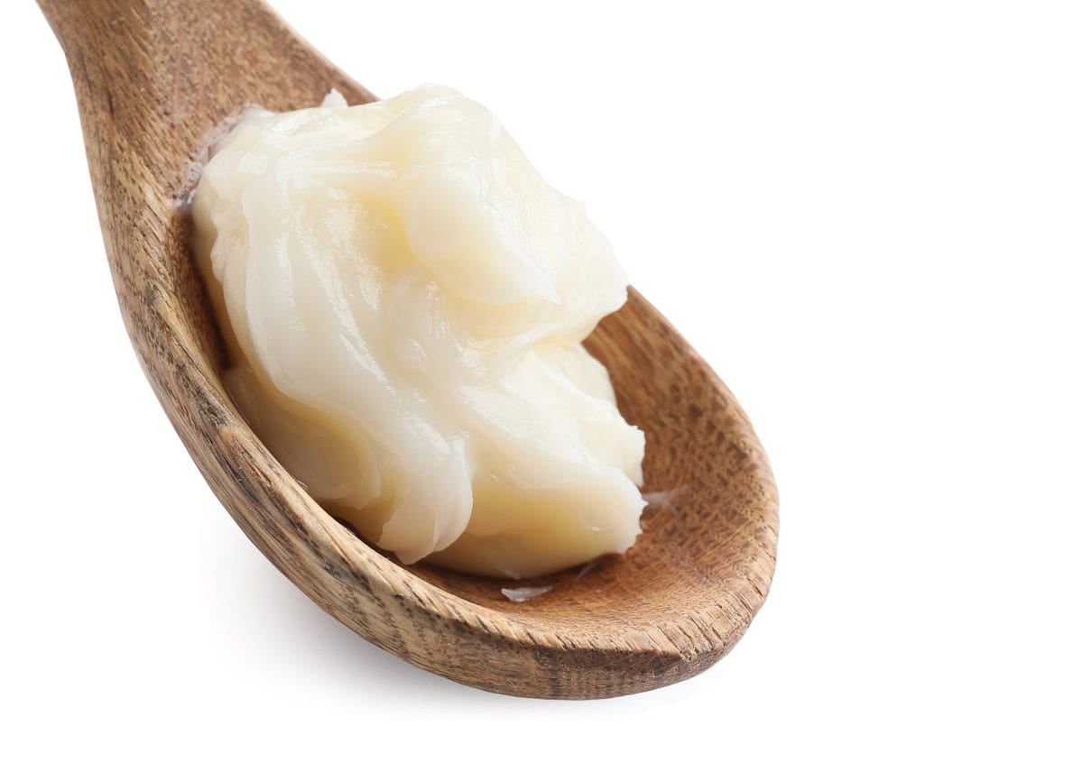 A wooden spoon holding a dollop of white, creamy lard against a plain white background.