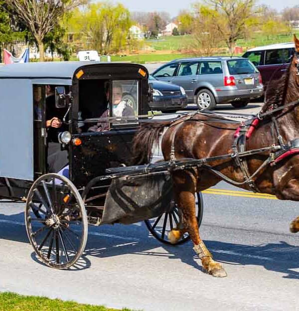 Horse-drawn buggy with four passengers travels on a rural road. A sign for a farmer's market is visible in the background, along with parked cars. Trees and a red building with people sitting outside are also in view.