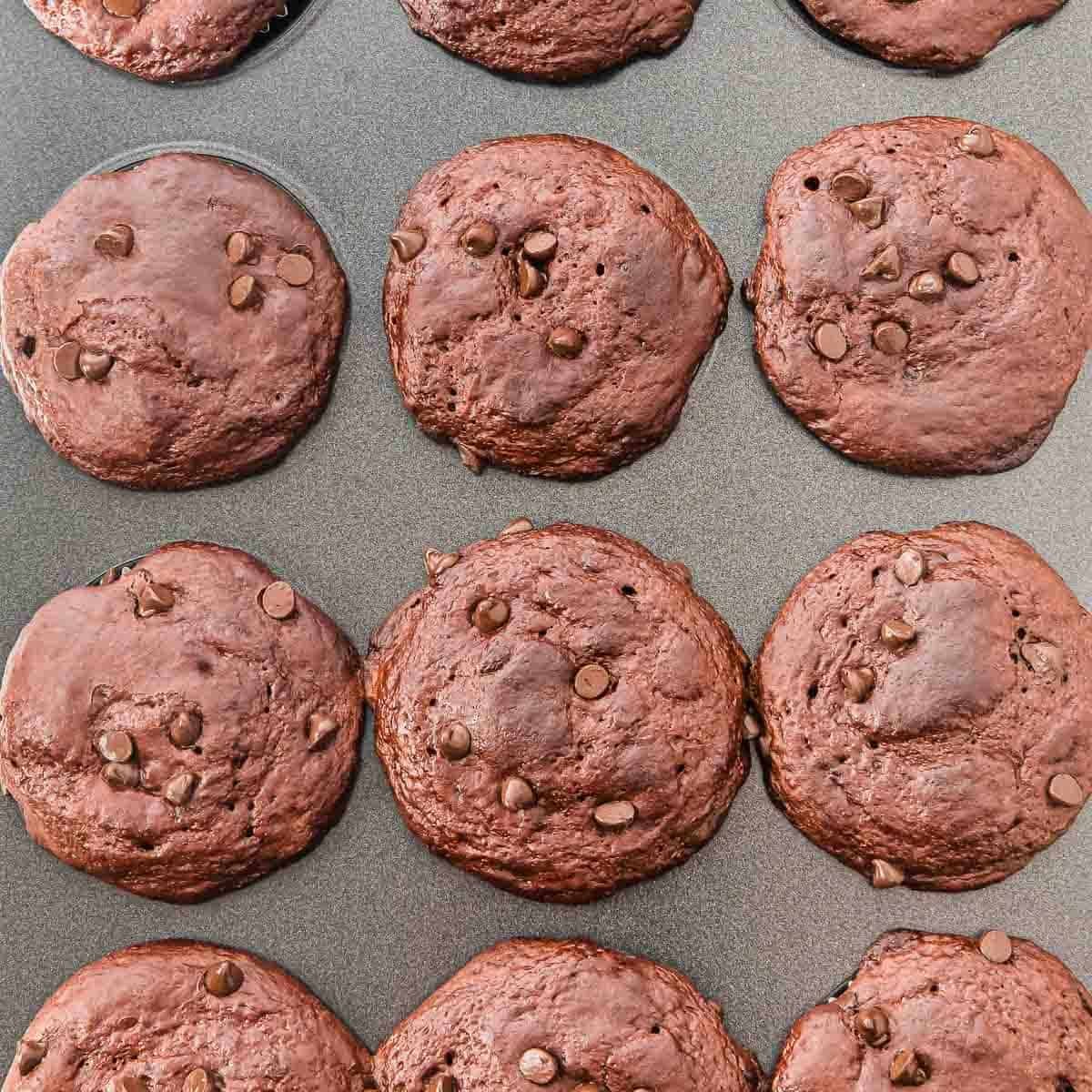 Nine chocolate cottage cheese muffins with chocolate chips are baked in a muffin tin, viewed from above. The muffins are round, rich brown, and slightly uneven, with chocolate chips visible on the tops.